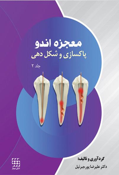  کتاب معجزه اندو پاکسازی و شکل دهی جلد 2 انتشارات شایان نمودار 