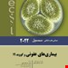 انتشارات اندیشه رفیع