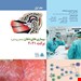 مجموعه کامل 2 جلدی کتاب بیماری های دهان برکت 2021 (سیاه و سفید) انتشارات شایان نمودار