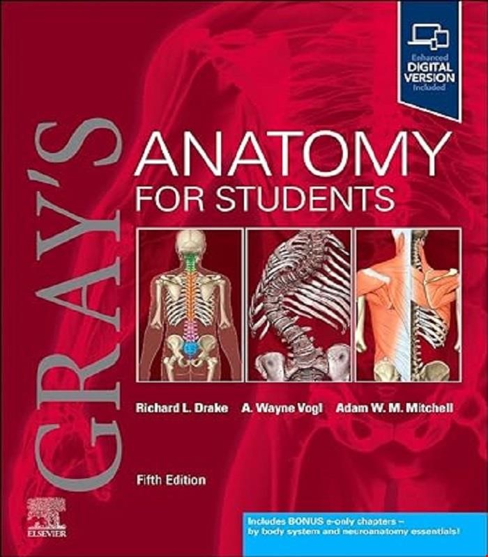 کتاب Gray’s Anatomy for Students 5th Edition 2024