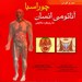 انتشارات: اندیشه‌رفیع