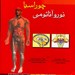 انتشارات: اندیشه‌رفیع