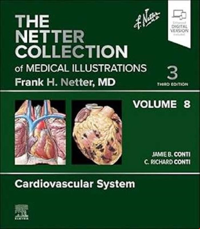 کتاب The Netter Collection of Medical Illustrations: Cardiovascular System, Volume 8 (Netter Green Book Collection) 3rd Edition 2025 