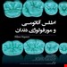 انتشارات رویان پژوه