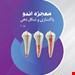 انتشارات شایان نمودار 
