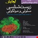 انتشارات اندیشه رفیع
