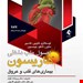 انتشارات ارجمند
