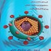 انتشارات: آثار سبحان