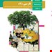 مدرسه