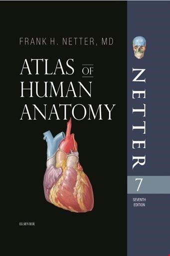   Atlas of human anatomy(seven edition) با جلد سخت, کاغذ تحریر, بدون قاب, کاغذ تحریر