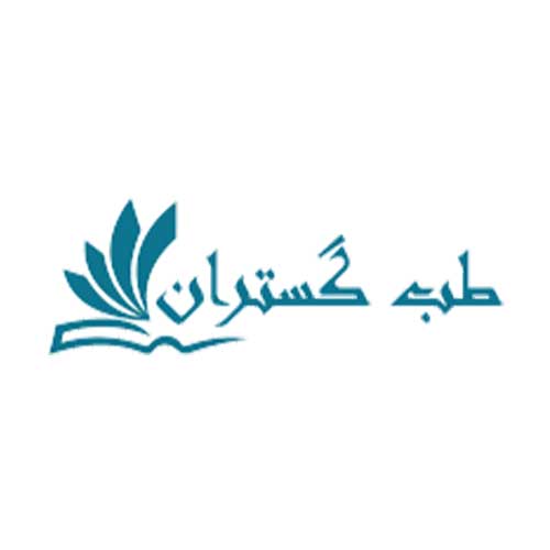 خرید شیکر شارژی فکر(FAKIR) مدل Elvender